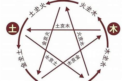 2023 年五行